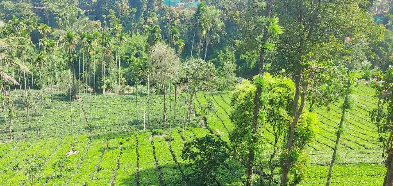 Vythiri Stream View Villa 0*,