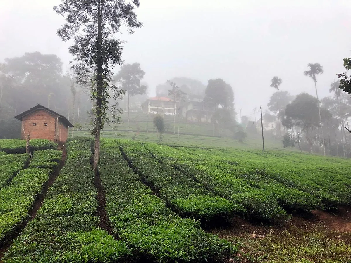 Vythiri Stream View Villa