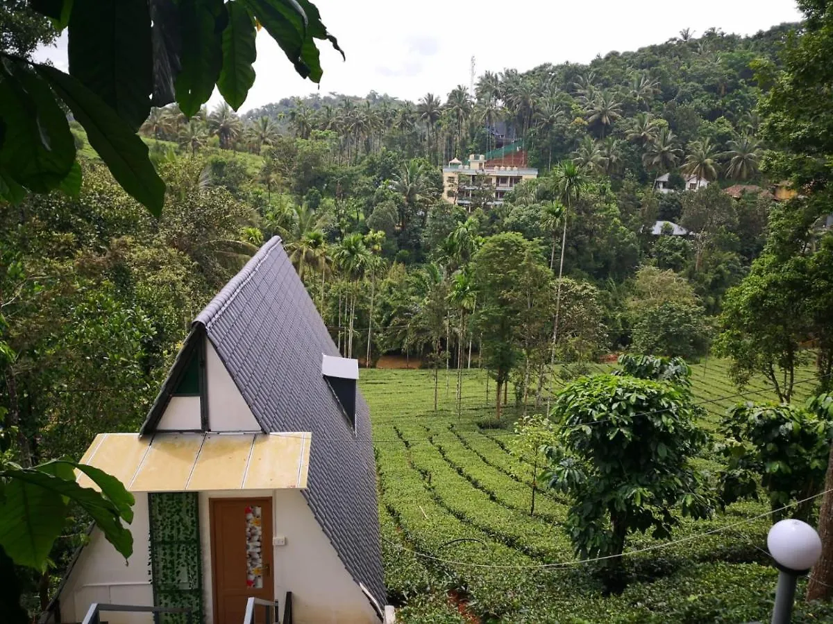 Vythiri Stream View Villa