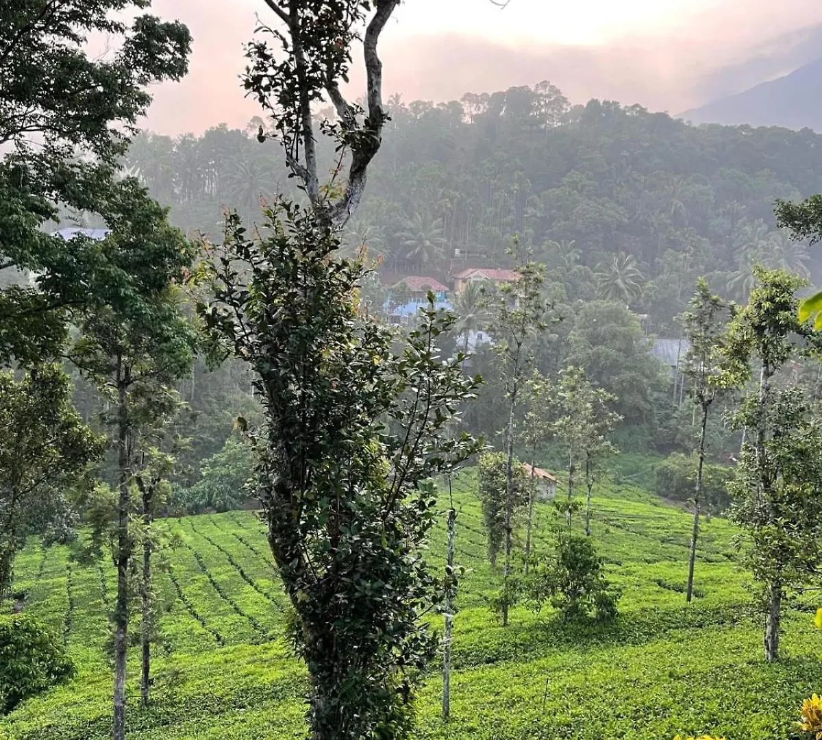 Vythiri Stream View Villa India