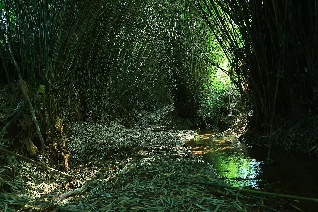 Vythiri Stream View Villa Nyaraló