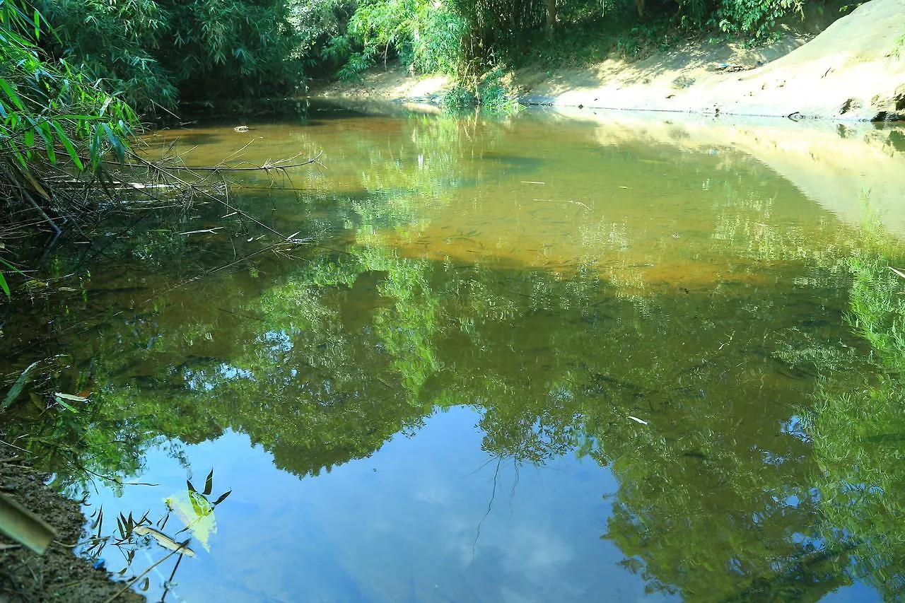 Vythiri Stream View Villa Nyaraló