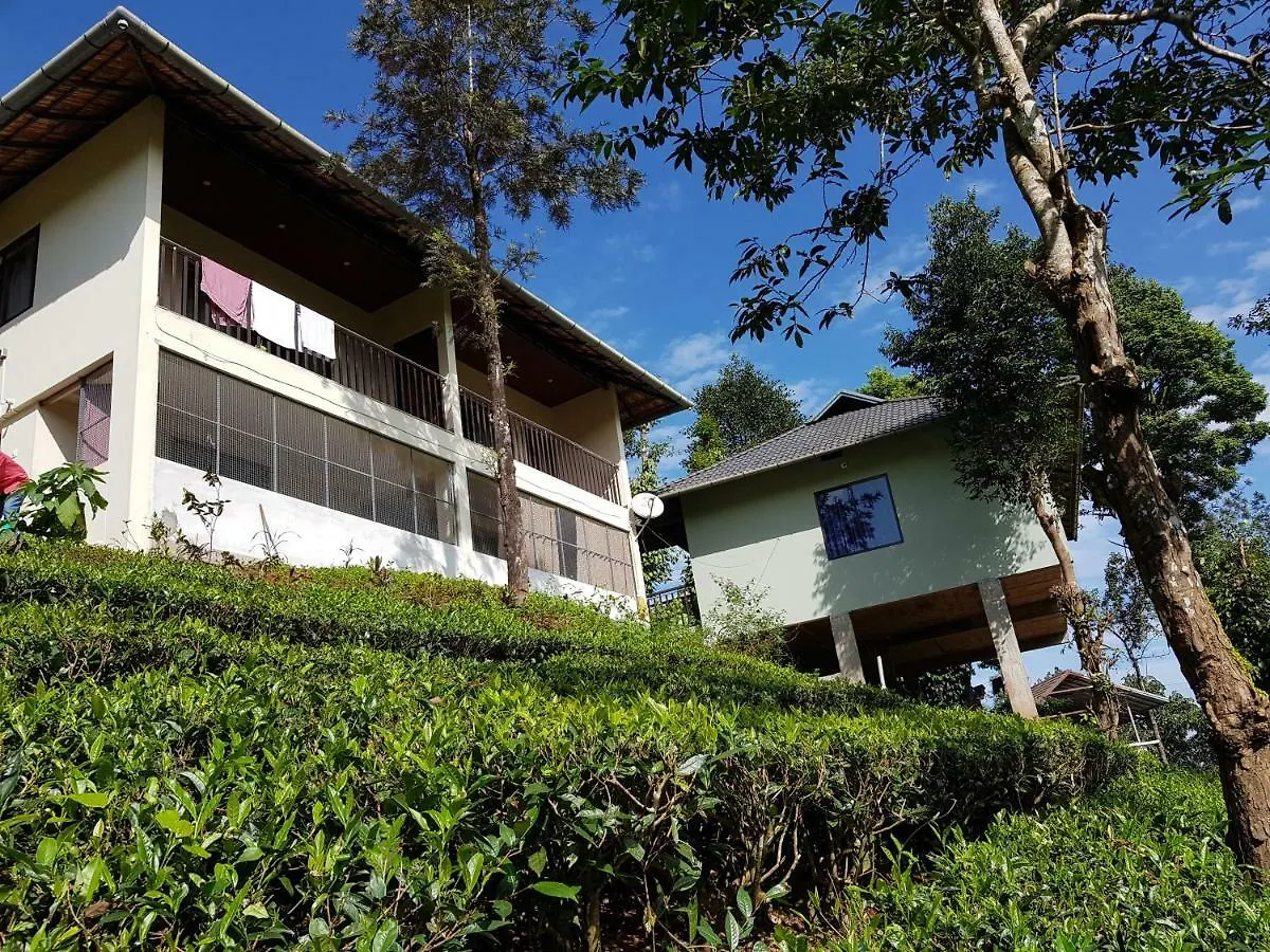 Nyaraló Vythiri Stream View Villa